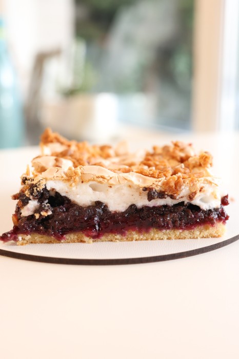 CIASTO PLEŚNIAK (1 KAW)