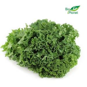 JARMUŻ BIO 250G BIOPLANET