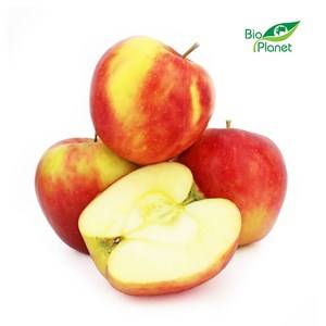 JABŁKA BIO ALWA (KG)