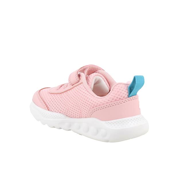 BUTY PRIMIGI 1452800 29