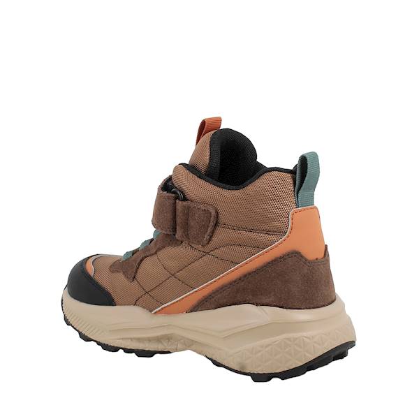 Buty PRIMIGI 2430011 37