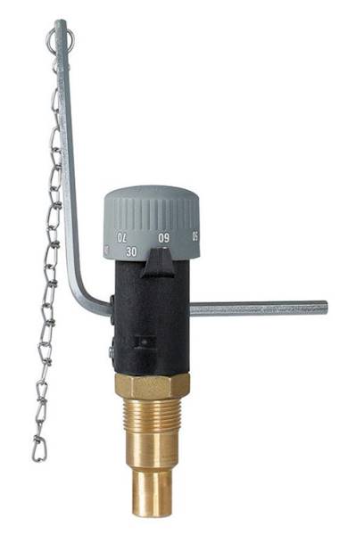 Miarkownik ciągu FR1 zakres regulacji 30÷90°C G3/4" Afriso 42294