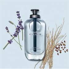 PAK FL  COACH OPEN ROAD 100 ML MEN 1X82 