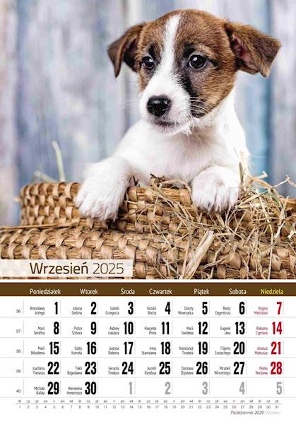 Kalendarz wieloplanszowy 