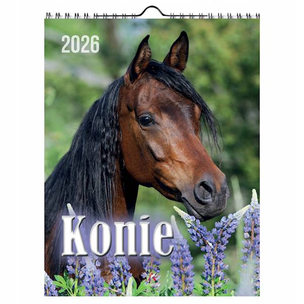 Kalendarz wieloplanszowy 