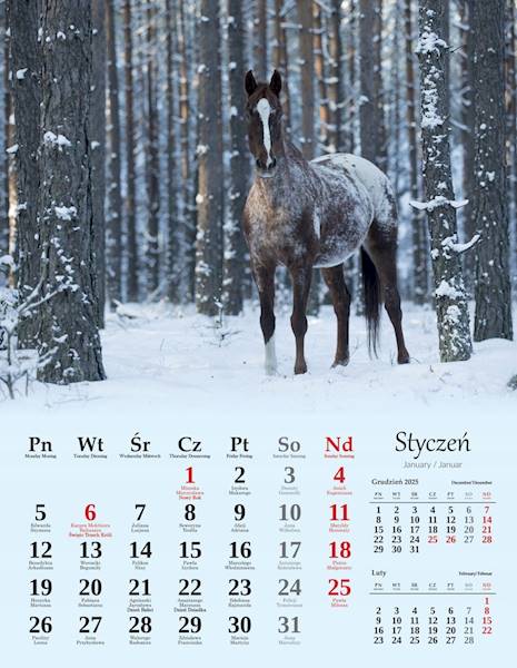 Kalendarz wieloplanszowy