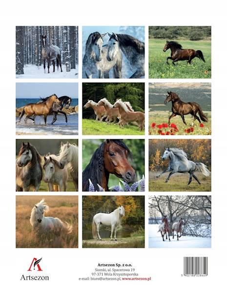 Kalendarz wieloplanszowy