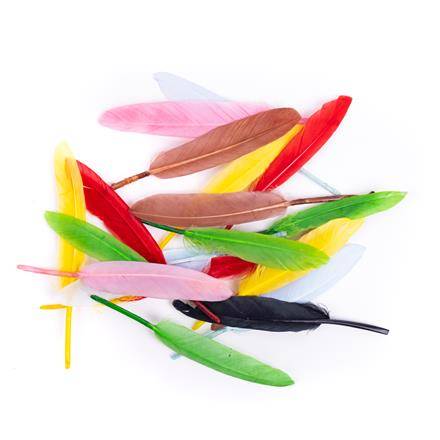 Pióra gęsie 13cm. MULTICOLOR 20szt.