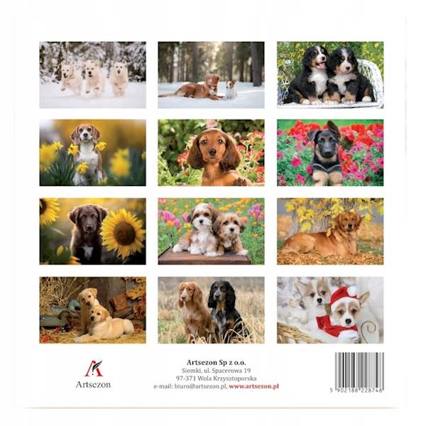 Kalendarz planszowy 33x33