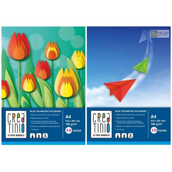 Blok techniczny A4 kolor 160g/10k Top Creatino
