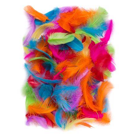 Piórka mix kol. BRIGHTS 5-12cm. 10g.
