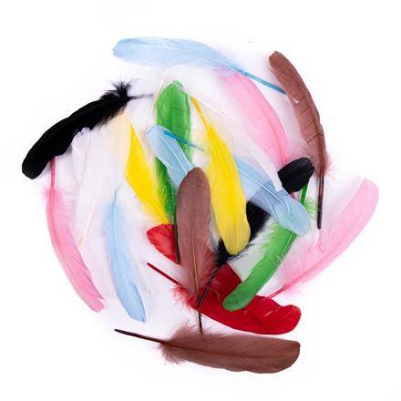Pióra gęsie 16cm. MULTICOLOR 20szt.