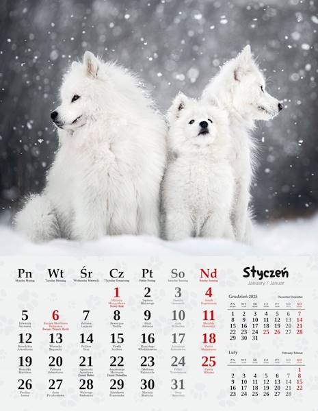 Kalendarz wieloplanszowy