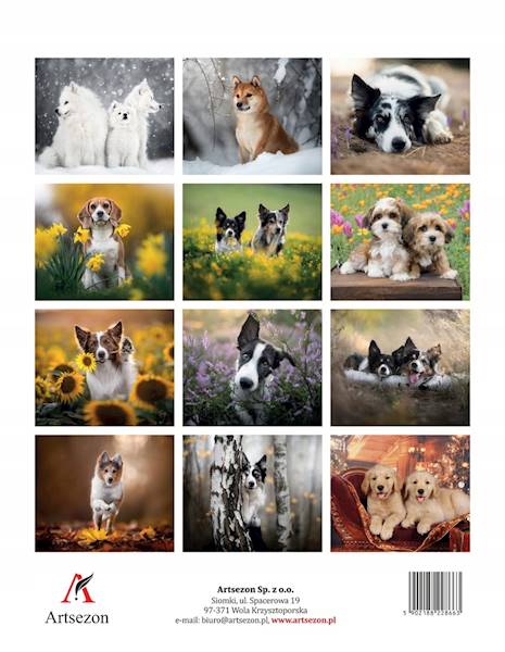 Kalendarz wieloplanszowy