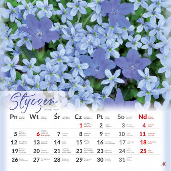 Kalendarz planszowy 33x33