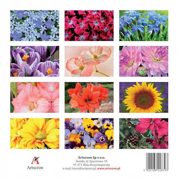 Kalendarz planszowy 33x33