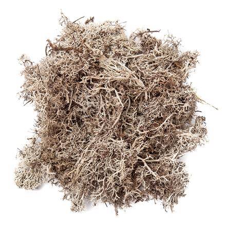 Mech bielony 30g 