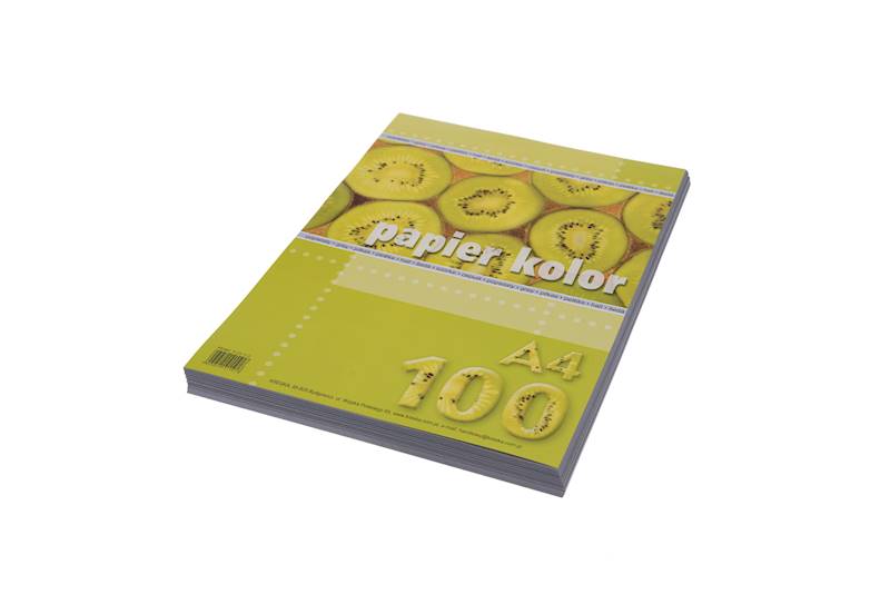 Papier ksero A4/80g 100 ark. szary