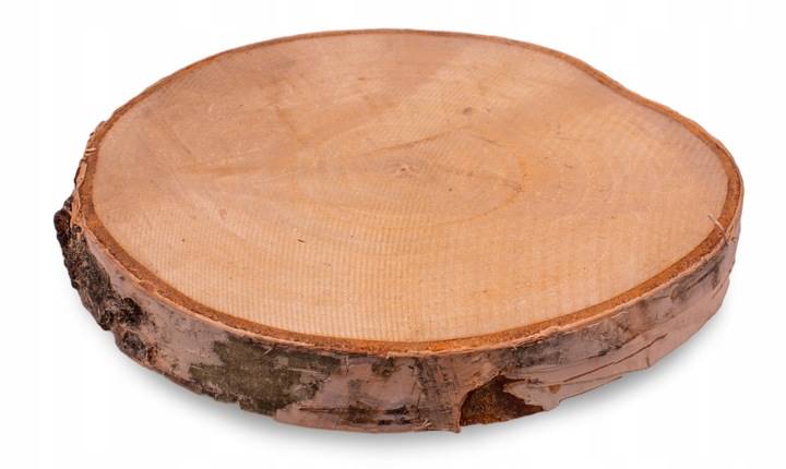 Plaster drewna 15-20cm