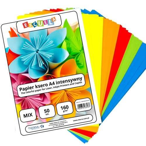 Papier kolor A4/160g 50ark mix 5kol intensywny