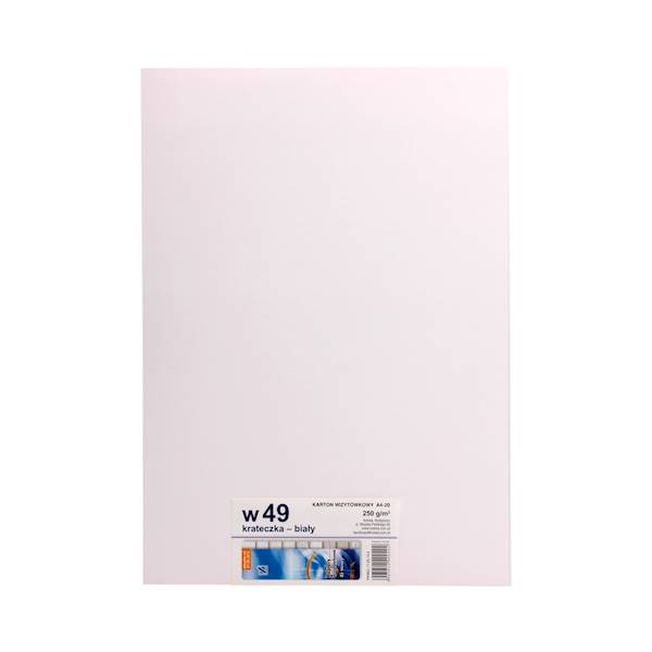Papier wizytówkowy A4 20ark.250g. kratka biały W49