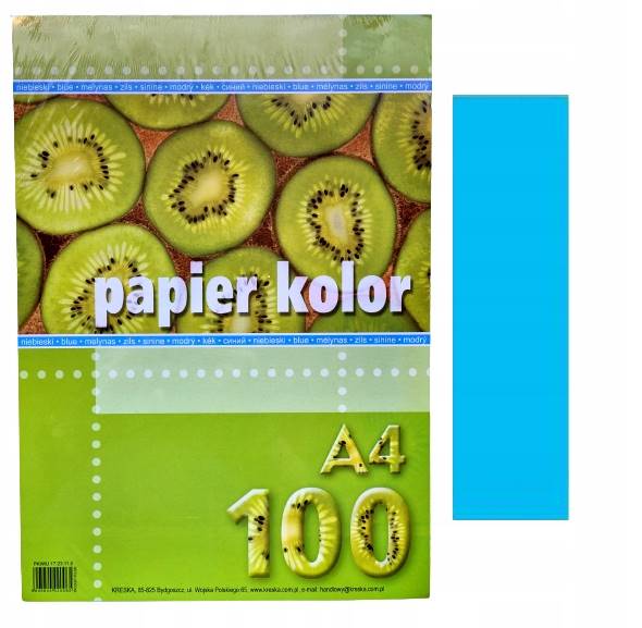 Papier ksero A4/80g 100 ark. niebieski 