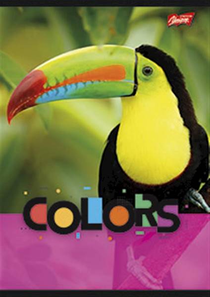 Zeszyt A4  32k  3= UNIPAP