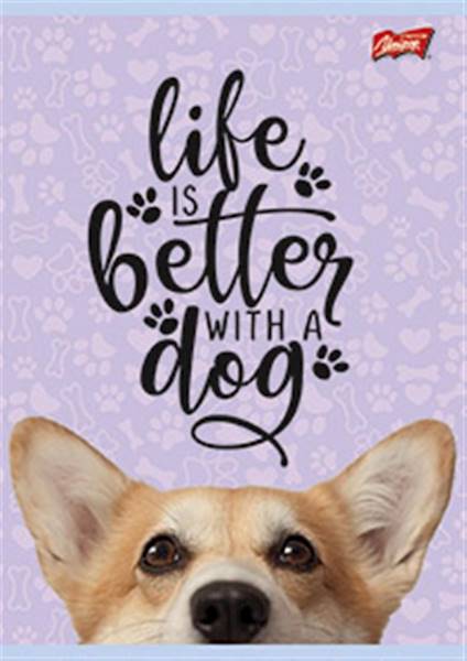 Zeszyt A4  32k  3= UNIPAP