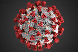 Epidemia a Nasza praca