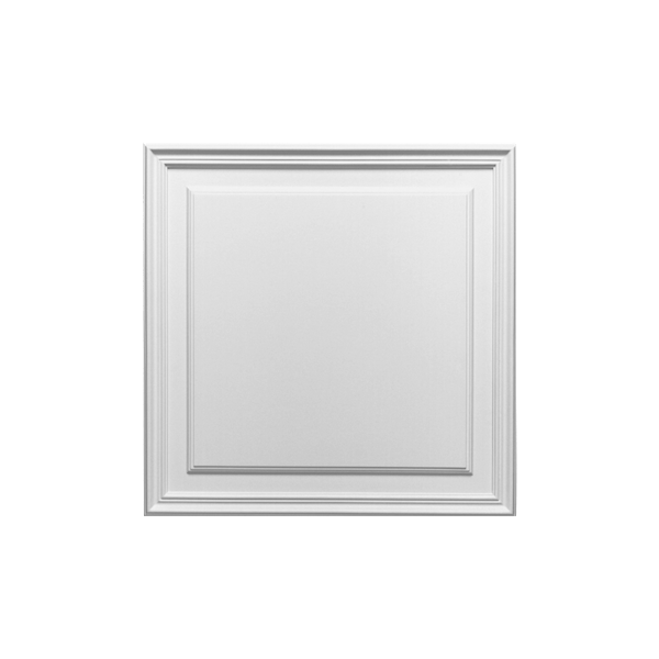 ORAC PANEL D503