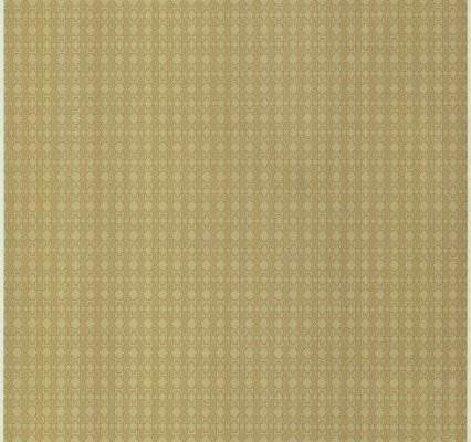 Tapeta EMILIANA PARATI ROBERTO CAVALLI home no 6 RC17116 10m x 0,7m