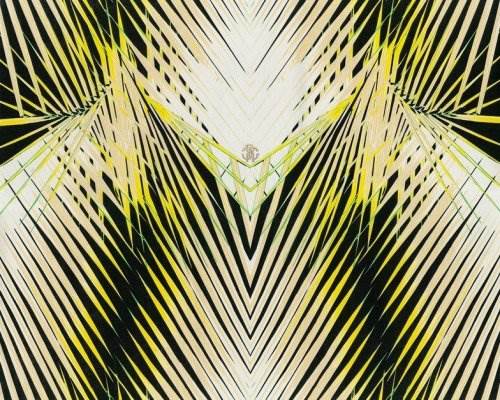 Tapeta EMILIANA PARATI ROBERTO CAVALLI home no 6 RC17002 10m x 0,7m