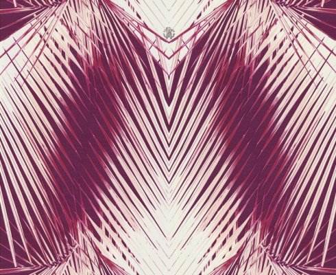 Tapeta EMILIANA PARATI ROBERTO CAVALLI home no 6 RC17006 10m x 0,7m