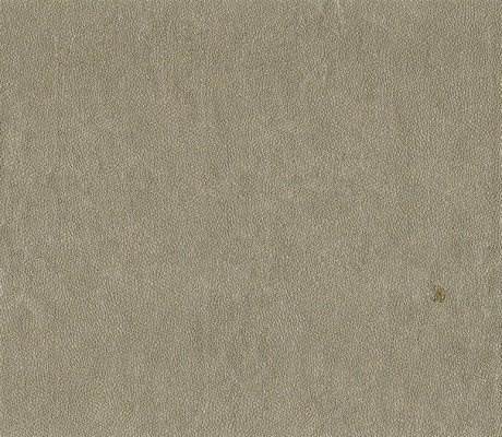 Tapeta EMILIANA PARATI ROBERTO CAVALLI home no 6 RC17082 10m x 0,7m