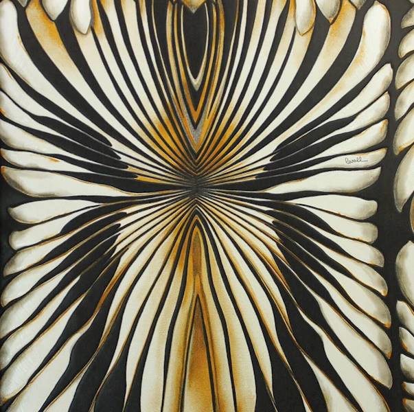 TAPETA ROBERTO CAVALLI HOME NO 8 RC 19005