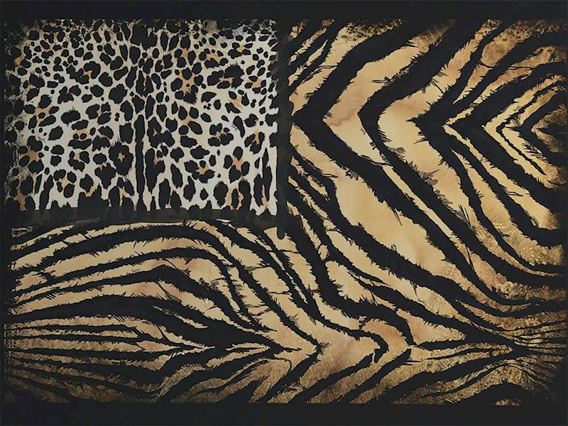TAPETA ROBERTO CAVALLI HOME NO 8 RC 19101 MURAL TYGRYS PŁÓTNO