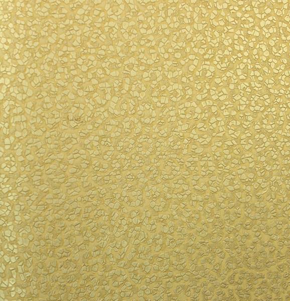 TAPETA ROBERTO CAVALLI HOME NO 8 RC 19017