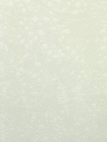 TAPETA ROBERTO CAVALLI HOME NO 8 RC 19039 SKÓRA WĘŻA
