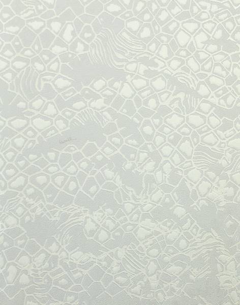 TAPETA ROBERTO CAVALLI HOME NO 8 RC 19034 SKÓRA WĘŻA