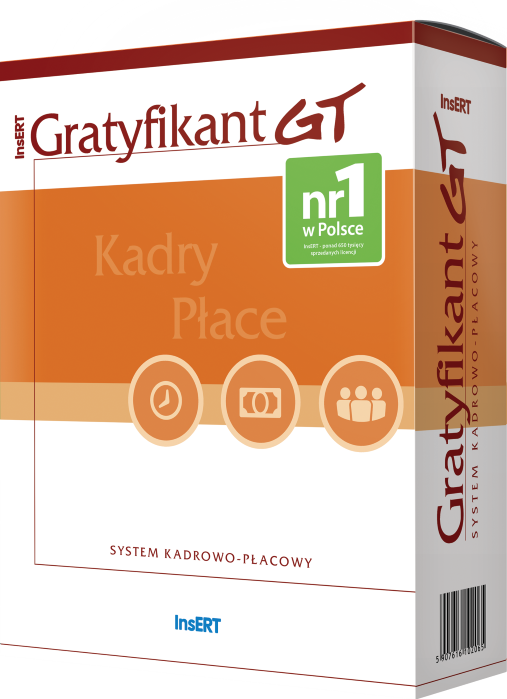 usługa informatyczna Insert GT