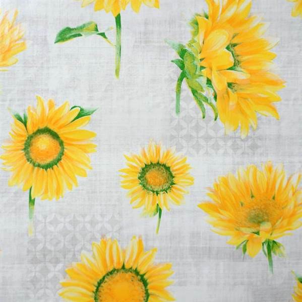 Cerata 57 38320 Ergis 140x10cm