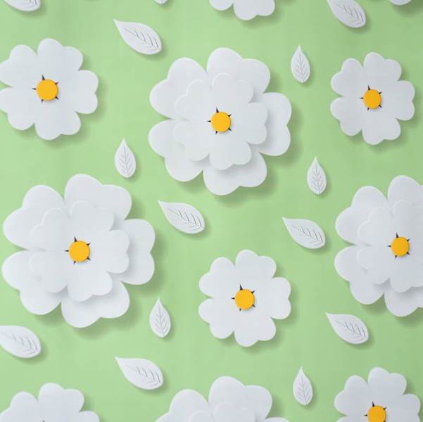 Cerata 187B Mirella 140x10cm
