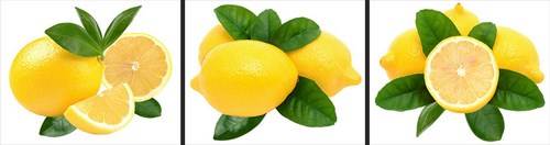 Dekoracja ścienna DS410-04 naklejka