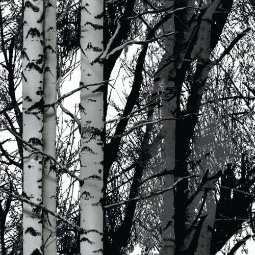 Okleina 200-3197 45x1m DCFix Brzozy
