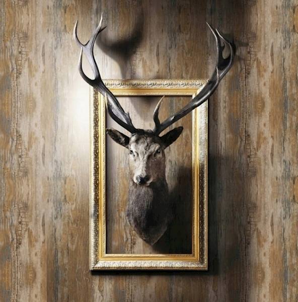 Okleina 200-2813 45x1m DCFix Rustykalny