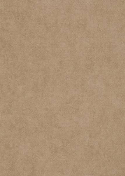 Tapeta 10473-30 Erismann fliz