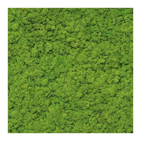 Tapeta 34862 Marburg fliz