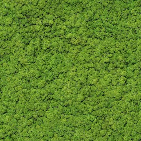 Tapeta 34862 Marburg fliz