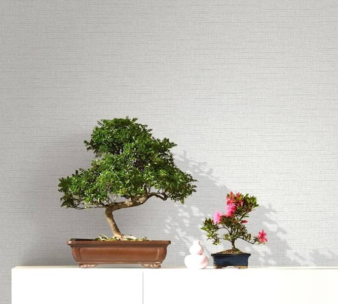 Tapeta 6809-10 82292 Novamur