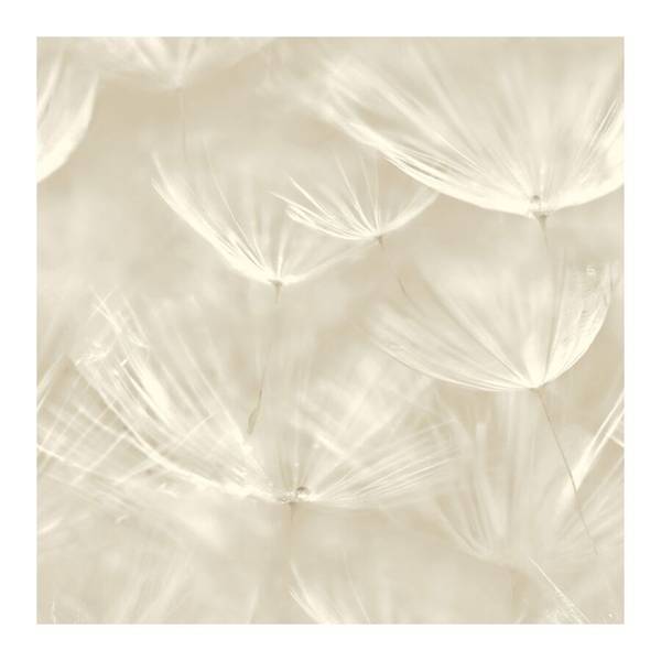 Tapeta 210901 Grandeco fliz